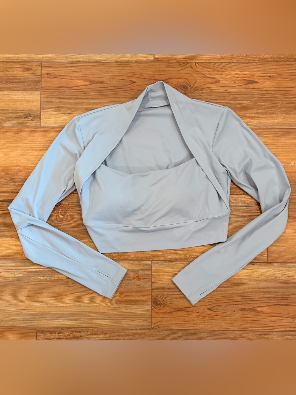Light Blue Women's Long Sleeve Cropped Top